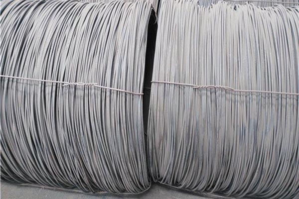 �o�a���F�P�l